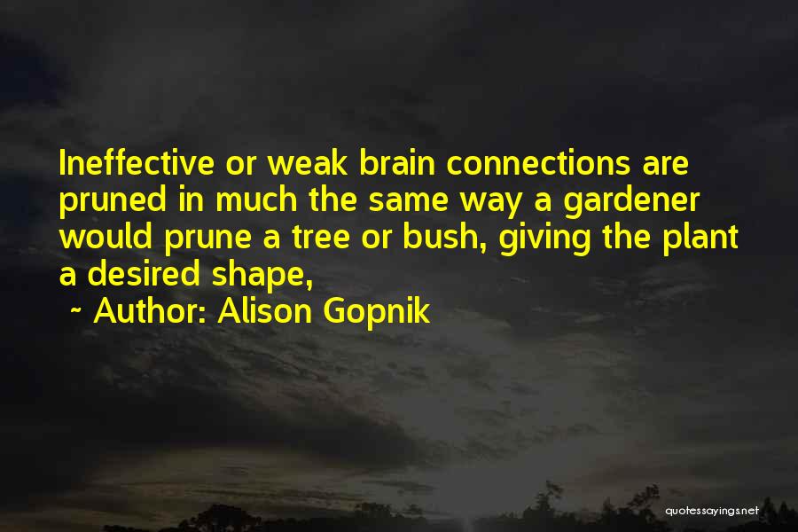 Tree Plant Quotes By Alison Gopnik