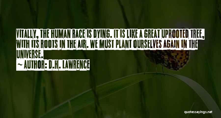 Tree Plant Quotes By D.H. Lawrence