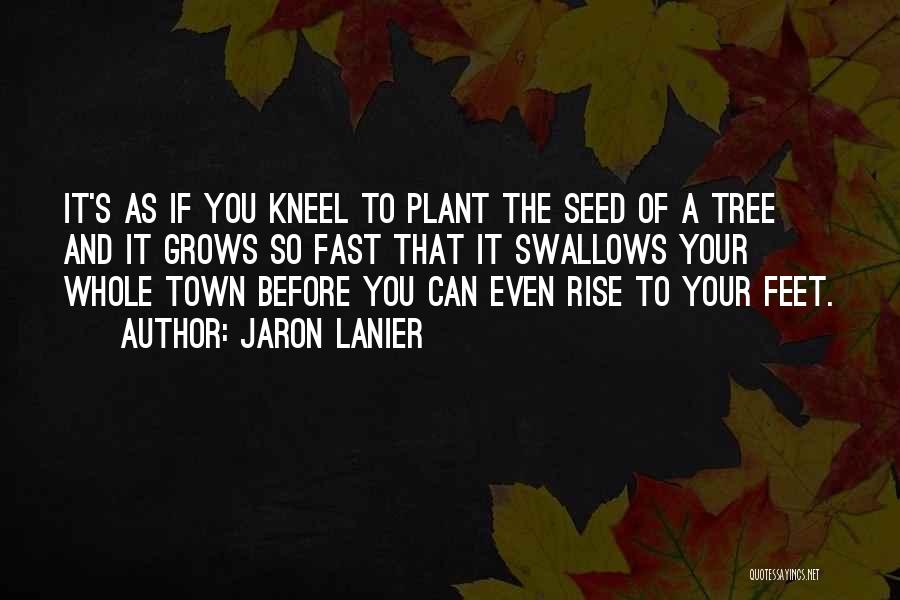 Tree Plant Quotes By Jaron Lanier