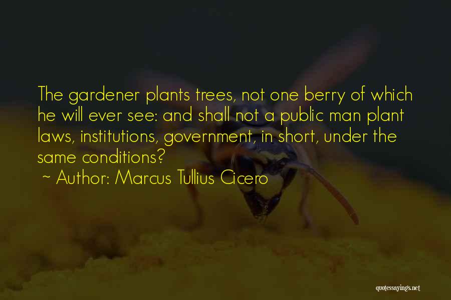 Tree Plant Quotes By Marcus Tullius Cicero