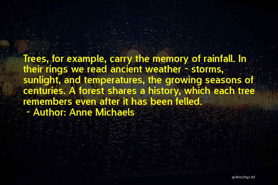 Tree Rings Quotes By Anne Michaels
