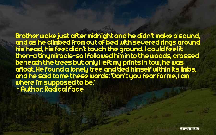 Tree Rings Quotes By Radical Face