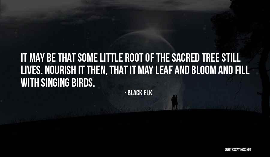 Tree Root Quotes By Black Elk Tree Root Quotes By Black Elk