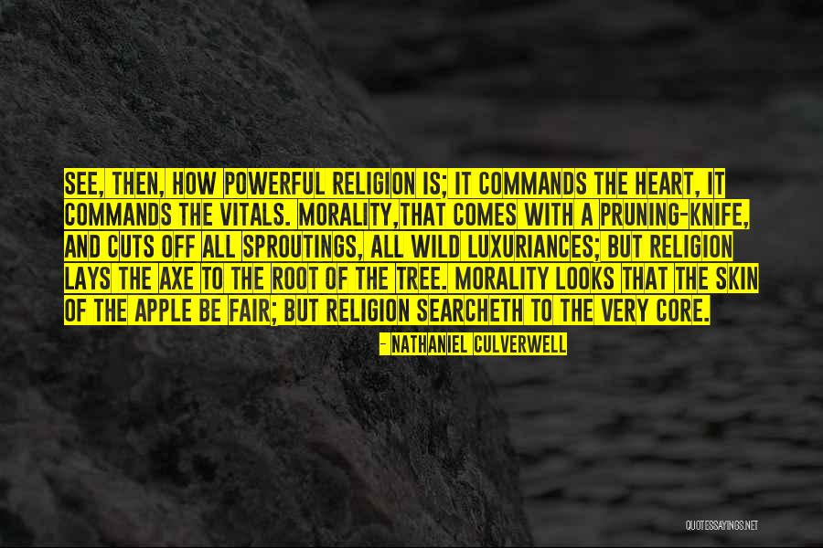 Tree Root Quotes By Nathaniel Culverwell Tree Root Quotes By Nathaniel Culverwell