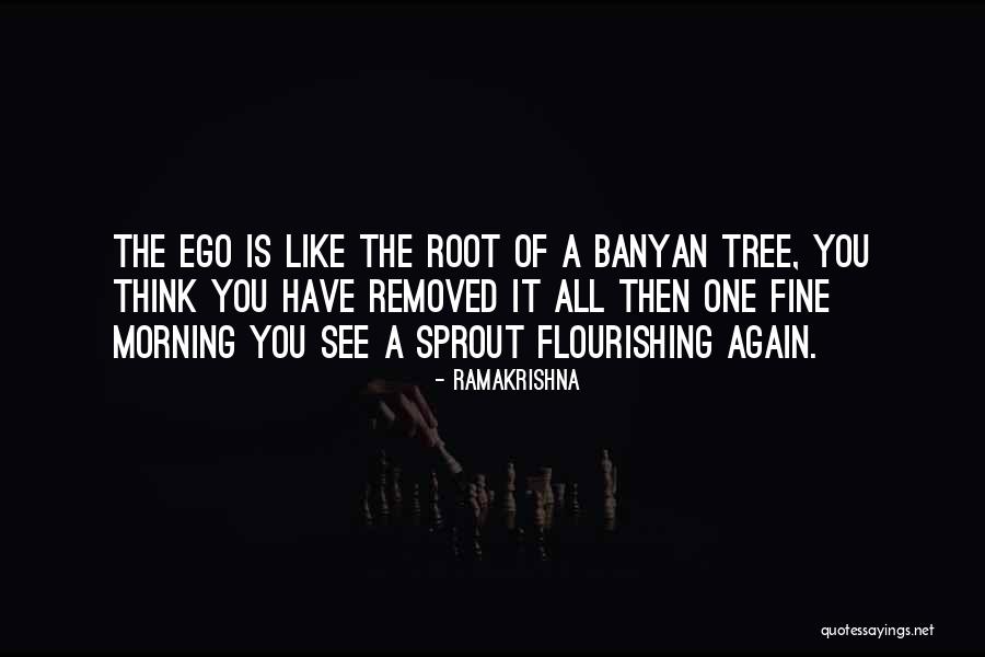 Tree Root Quotes By Ramakrishna Tree Root Quotes By Ramakrishna