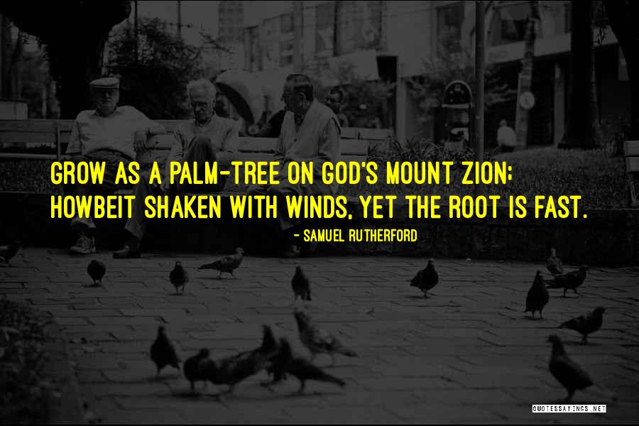 Tree Root Quotes By Samuel Rutherford Tree Root Quotes By Samuel Rutherford