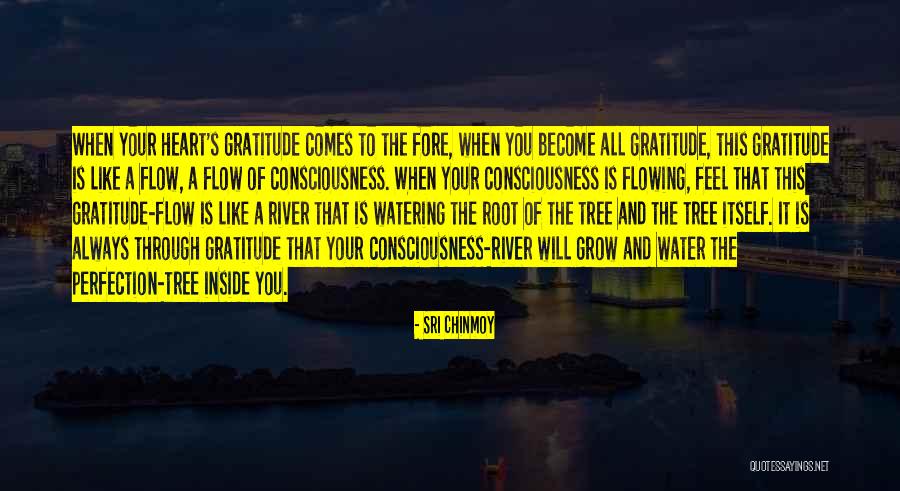 Tree Root Quotes By Sri Chinmoy Tree Root Quotes By Sri Chinmoy