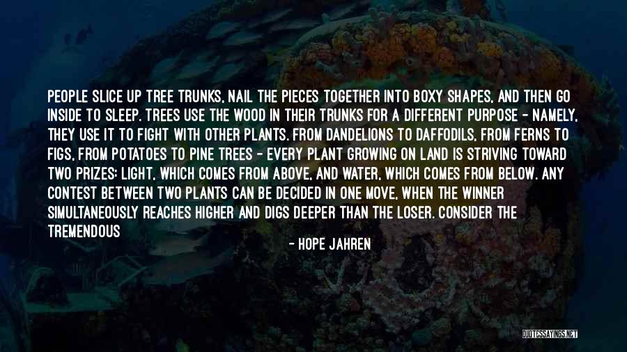 Tree Roots Quotes By Hope Jahren