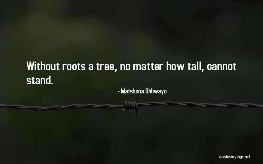 Tree Roots Quotes By Matshona Dhliwayo