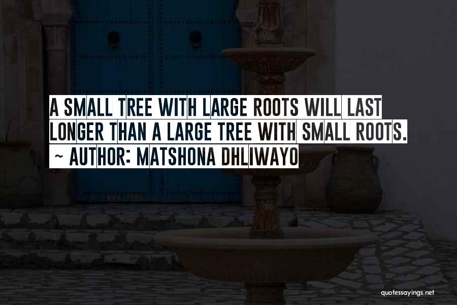 Tree Roots Quotes By Matshona Dhliwayo