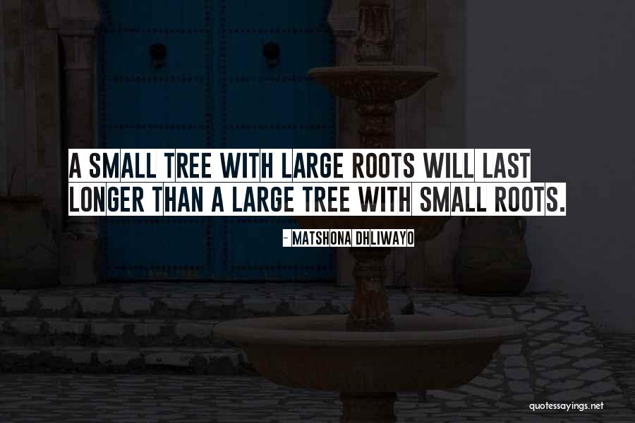 Tree Roots Quotes By Matshona Dhliwayo