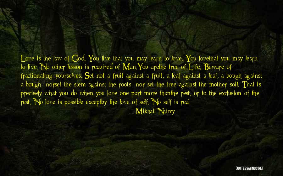 Tree Roots Quotes By Mikhail Naimy