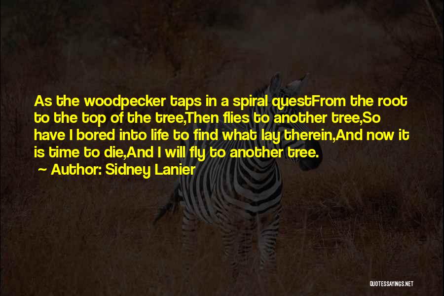 Tree Roots Quotes By Sidney Lanier