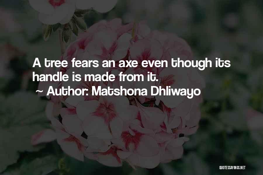 Tree Sayings And Quotes By Matshona Dhliwayo