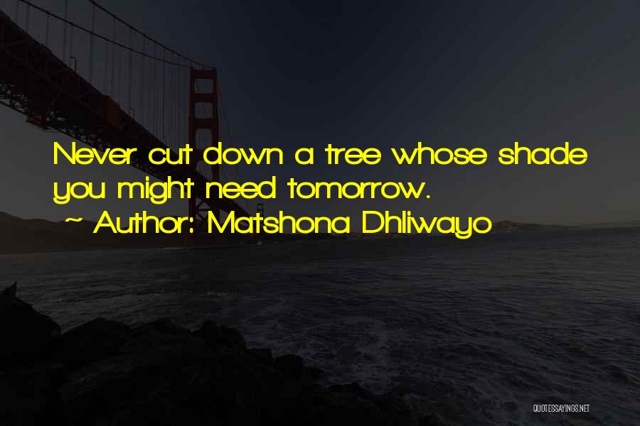 Tree Sayings And Quotes By Matshona Dhliwayo