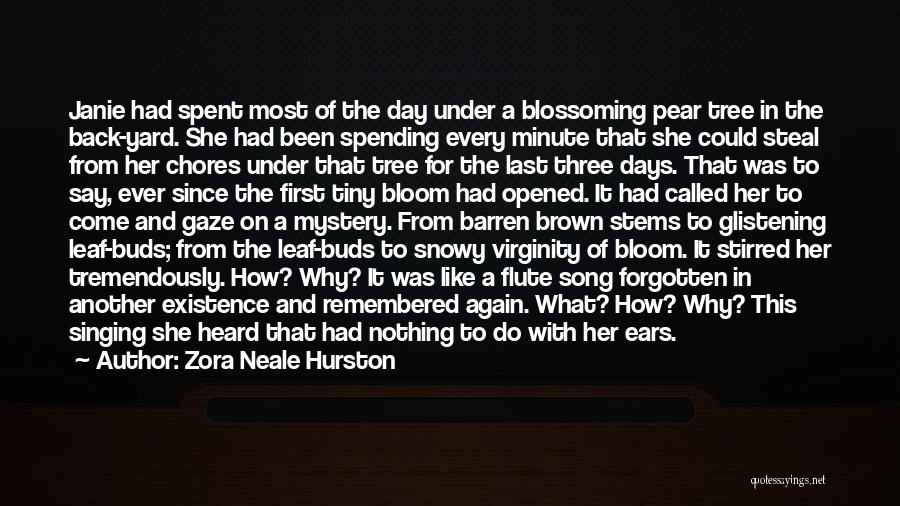 Tree Song Quotes By Zora Neale Hurston