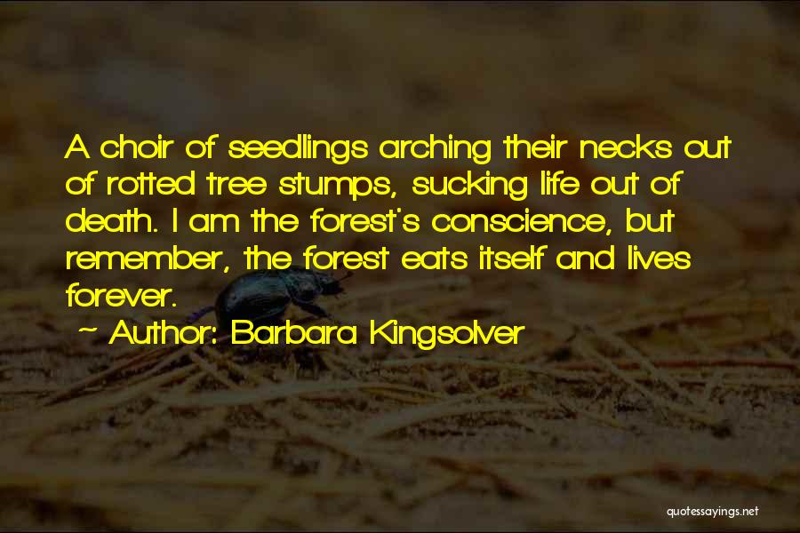 Tree Stumps Quotes By Barbara Kingsolver