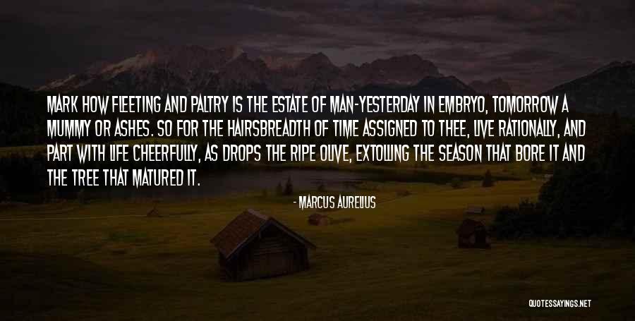 Tree That Drops Quotes By Marcus Aurelius Tree That Drops Quotes By Marcus Aurelius