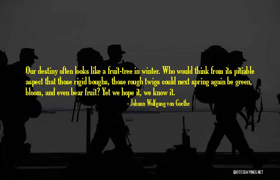 Tree That Looks Quotes By Johann Wolfgang Von Goethe Tree That Looks Quotes By Johann Wolfgang Von Goethe