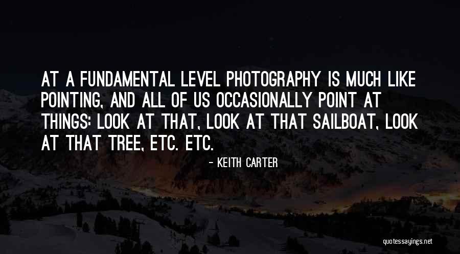 Tree That Looks Quotes By Keith Carter Tree That Looks Quotes By Keith Carter