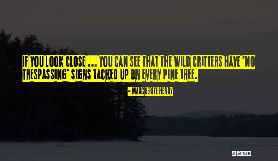Tree That Looks Quotes By Marguerite Henry Tree That Looks Quotes By Marguerite Henry