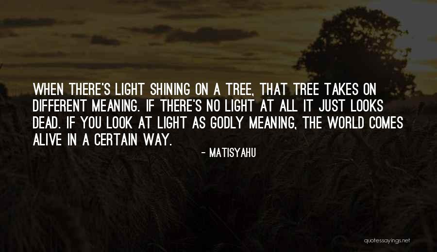 Tree That Looks Quotes By Matisyahu Tree That Looks Quotes By Matisyahu