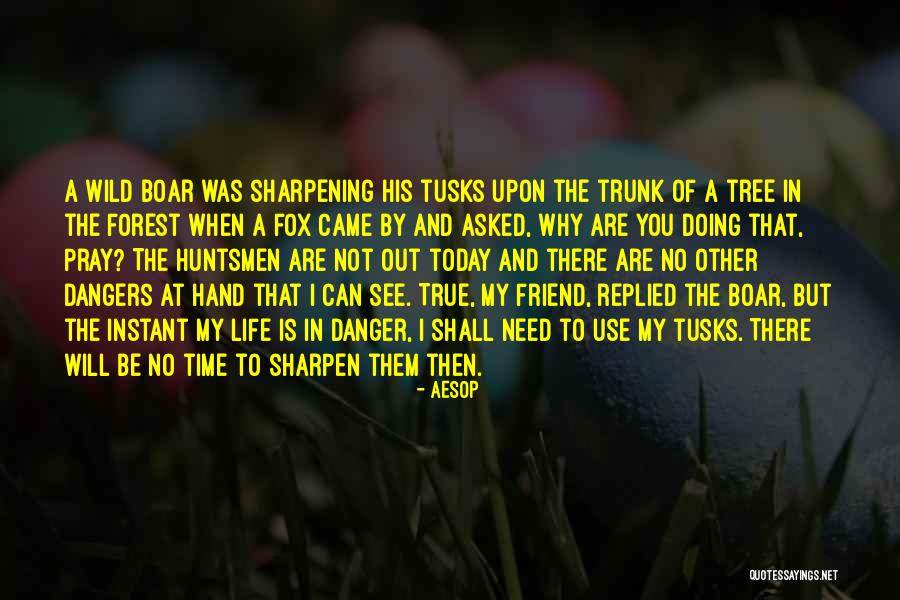 Tree Trunk Quotes By Aesop Tree Trunk Quotes By Aesop