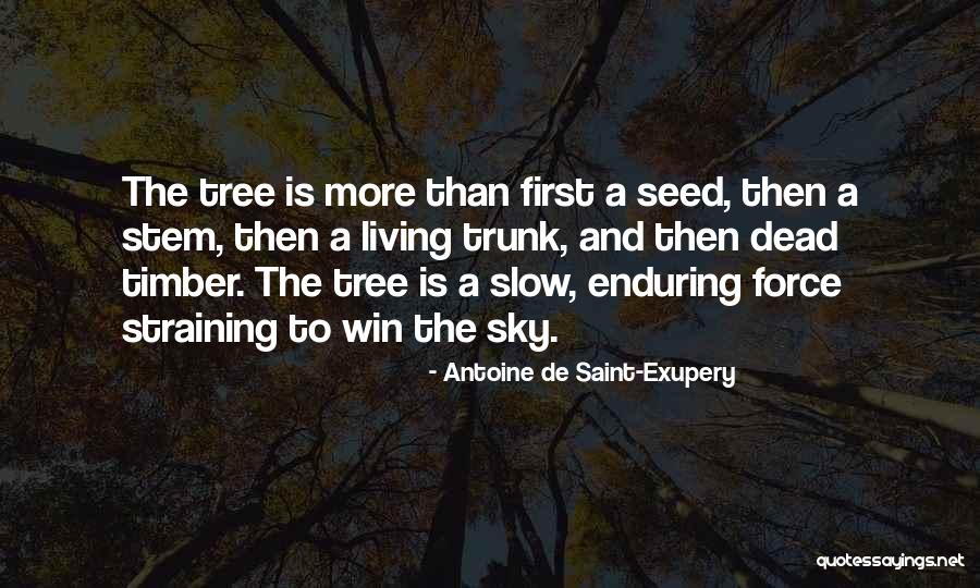 Tree Trunk Quotes By Antoine De Saint-Exupery Tree Trunk Quotes By Antoine De Saint-Exupery
