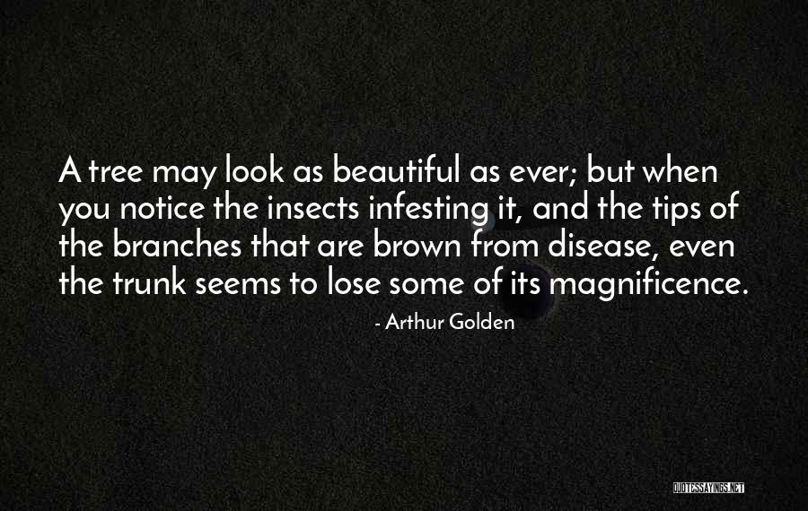 Tree Trunk Quotes By Arthur Golden Tree Trunk Quotes By Arthur Golden