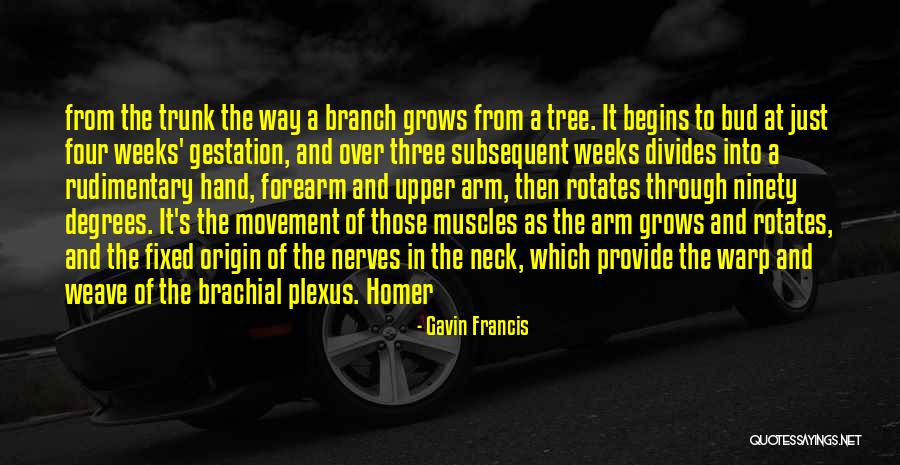 Tree Trunk Quotes By Gavin Francis Tree Trunk Quotes By Gavin Francis