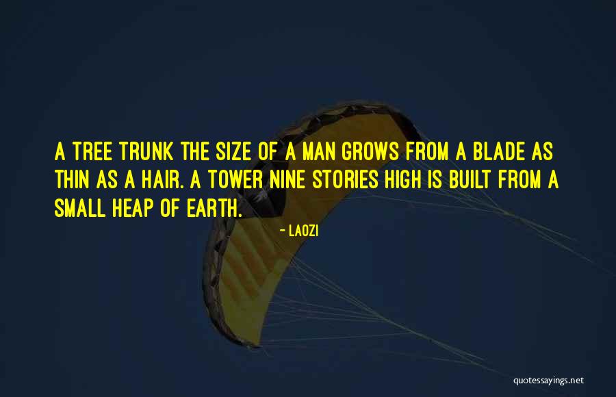 Tree Trunk Quotes By Laozi Tree Trunk Quotes By Laozi