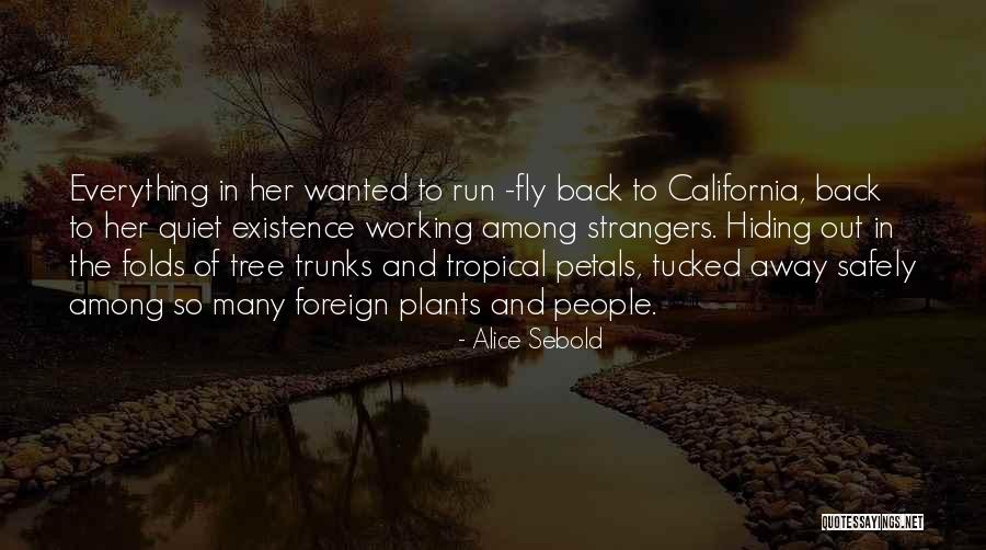 Tree Trunks Quotes By Alice Sebold