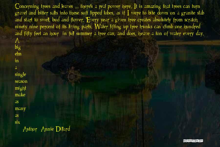 Tree Trunks Quotes By Annie Dillard