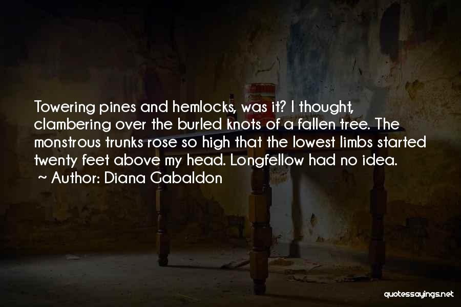 Tree Trunks Quotes By Diana Gabaldon