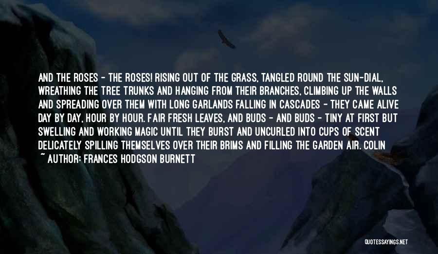 Tree Trunks Quotes By Frances Hodgson Burnett