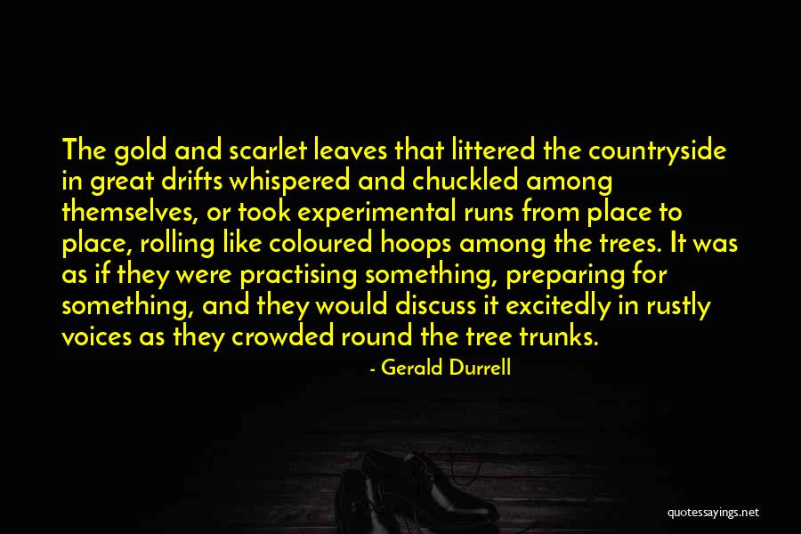 Tree Trunks Quotes By Gerald Durrell