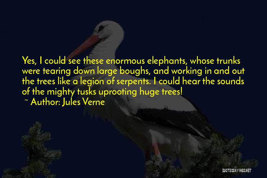 Tree Trunks Quotes By Jules Verne