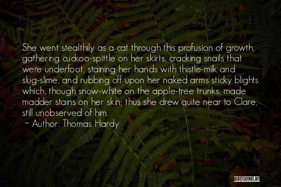 Tree Trunks Quotes By Thomas Hardy