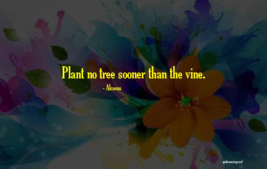 Tree Vines Quotes By Alcaeus Tree Vines Quotes By Alcaeus