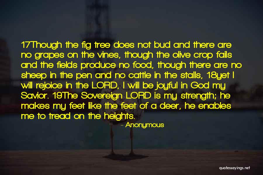 Tree Vines Quotes By Anonymous Tree Vines Quotes By Anonymous
