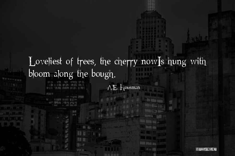 Tree Will Not Bloom Quotes By A.E. Housman Tree Will Not Bloom Quotes By A.E. Housman