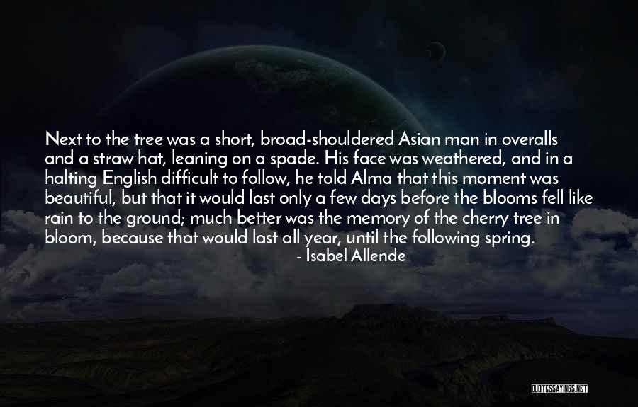 Tree Will Not Bloom Quotes By Isabel Allende Tree Will Not Bloom Quotes By Isabel Allende