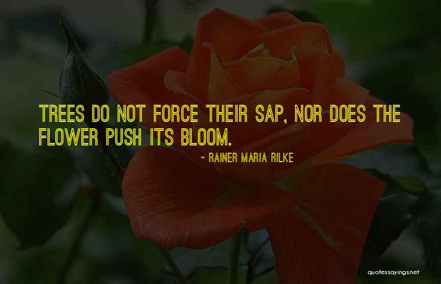 Tree Will Not Bloom Quotes By Rainer Maria Rilke
