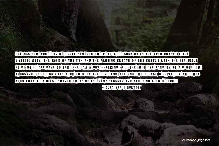 Tree Will Not Bloom Quotes By Zora Neale Hurston Tree Will Not Bloom Quotes By Zora Neale Hurston