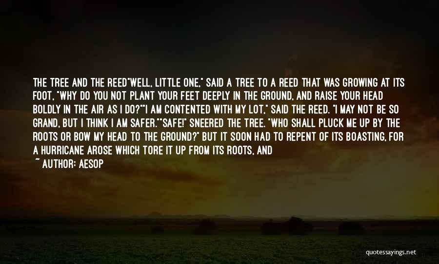 Tree With Roots Quotes By Aesop