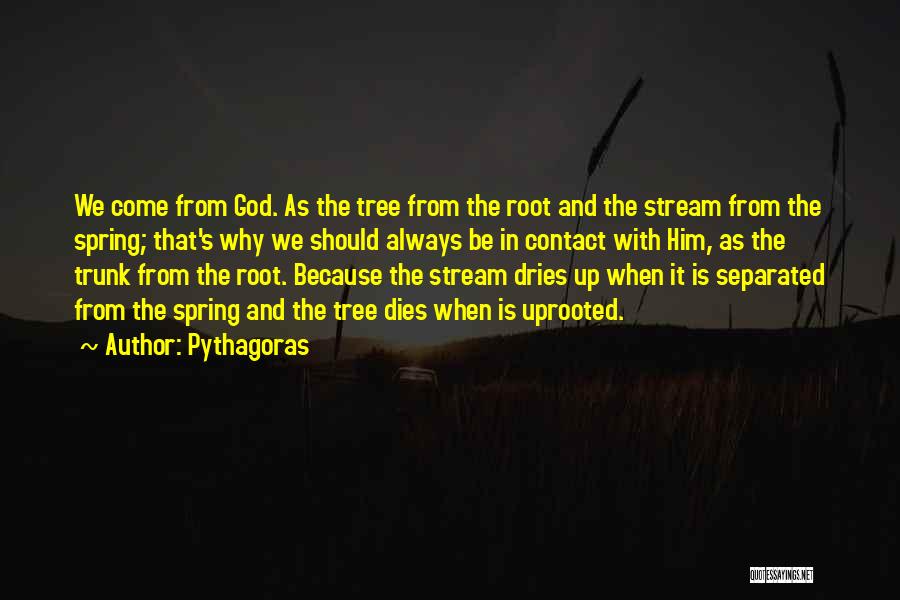 Tree With Roots Quotes By Pythagoras