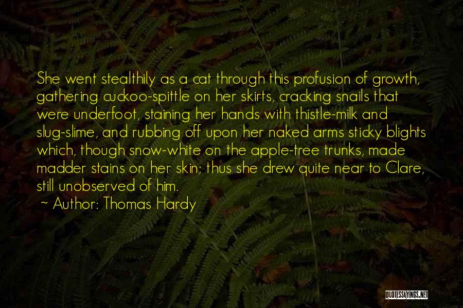 Tree With Snow Quotes By Thomas Hardy