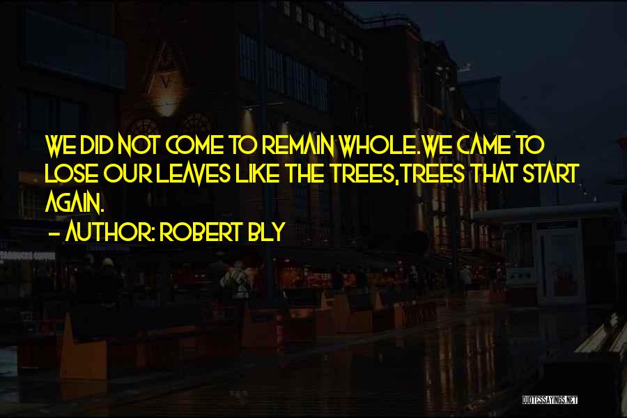 Tree Without Leaves Quotes By Robert Bly