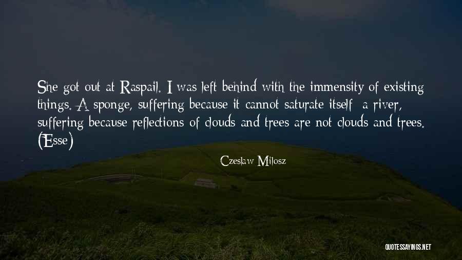 Trees And Clouds Quotes By Czeslaw Milosz