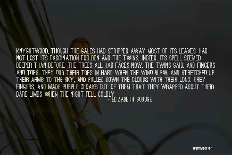 Trees And Clouds Quotes By Elizabeth Goudge Trees And Clouds Quotes By Elizabeth Goudge